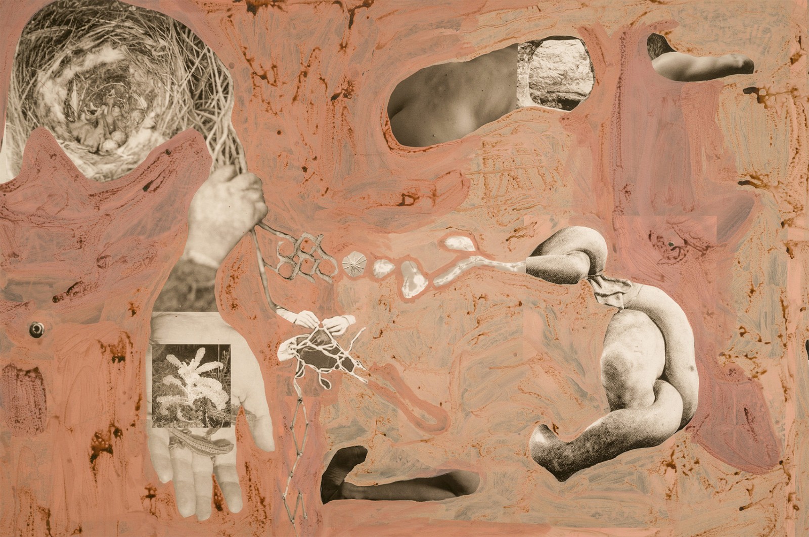 圖十二、《地勢 (關(guān)于時間，關(guān)于身體)》 (細(xì)節(jié)圖)，O?zlem Alt?n，2019