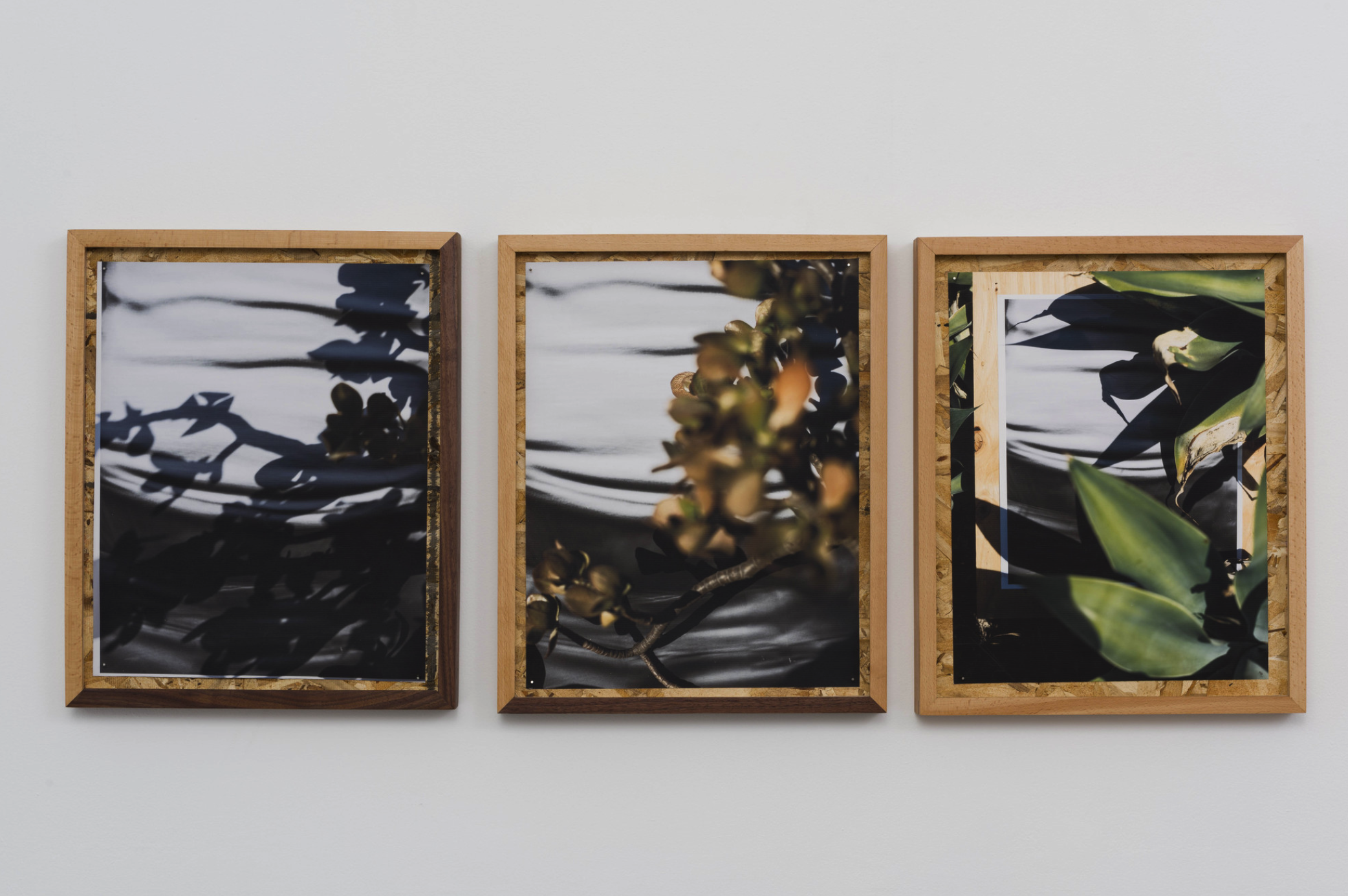 圖四、從左至右《庫卡蒙格牧場 34.1064° N, 117.5931° W. 》2018《回聲公園 34.0782° N, 118.2606° W.》 2018《康普頓 33.8958° N, 118.2201° W. 2018》David Alekhuogie